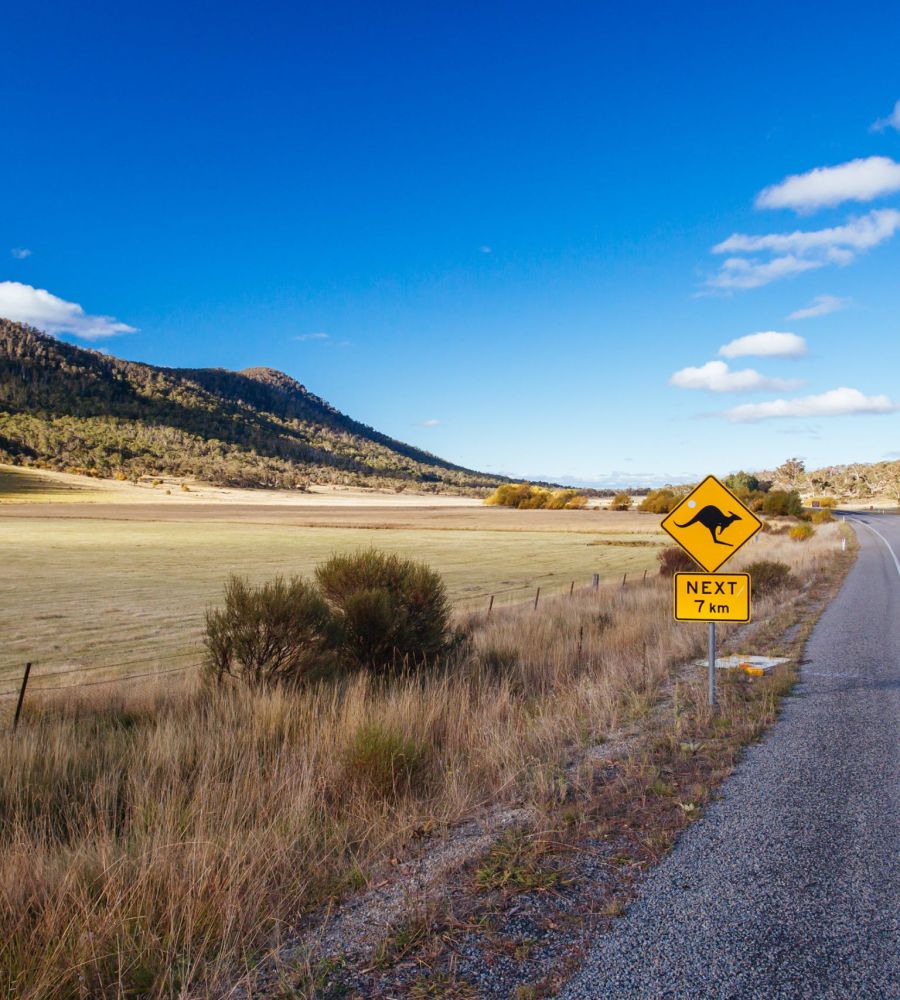 snowy-mountains-landscape-in-australia-2021-08-30-00-31-30-utc (1)